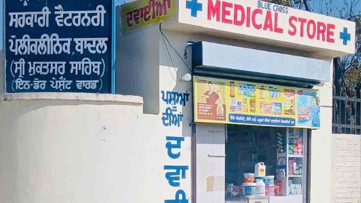 Punjab: मान सरकार की तरफ से ‘ब्लू क्रास’ वैटरनरी स्टोर शुरू करने के साथ पशु पालकों को मिलेंगी सस्ती दवाएं