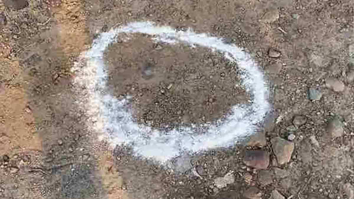 Encounter took place between police and criminals in Jalandhar