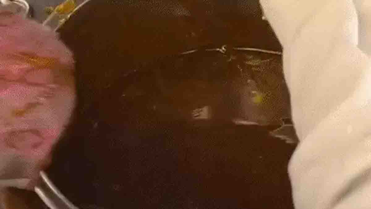 Rat in Pani Puri, Golgappa Viral Video