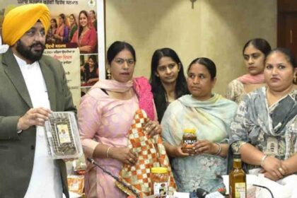 Mann government to felicitate women entrepreneurs