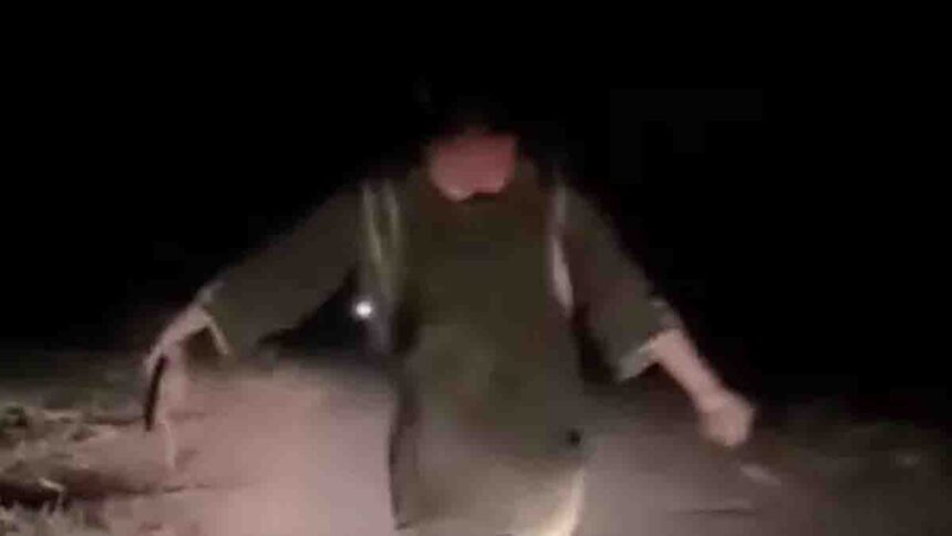 NRI Woman Chases Thieves With Sword In Ludhiana Dehlon Viral Video