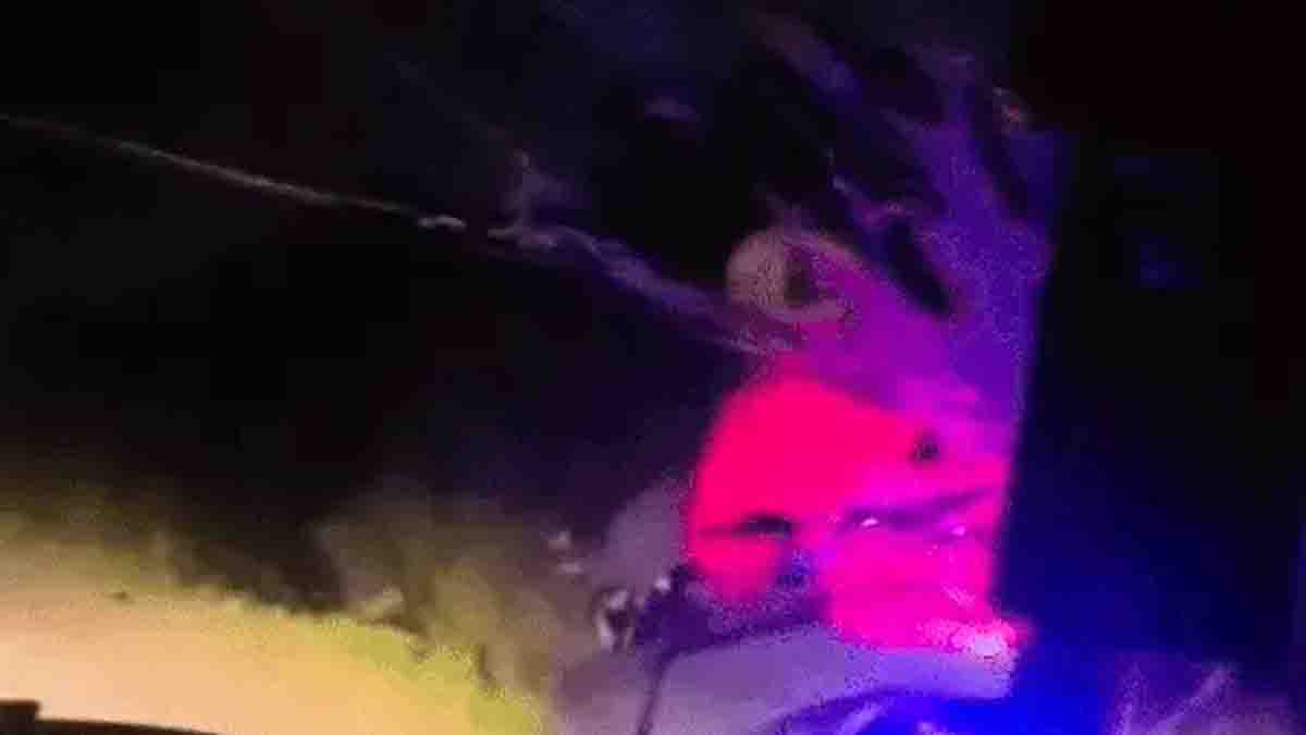 NRI Woman Chases Thieves With Sword In Ludhiana Dehlon Viral Video News