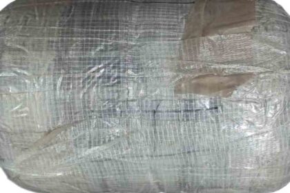 Punjab Police foils Pak-ISI-backed terror plot in Amritsar