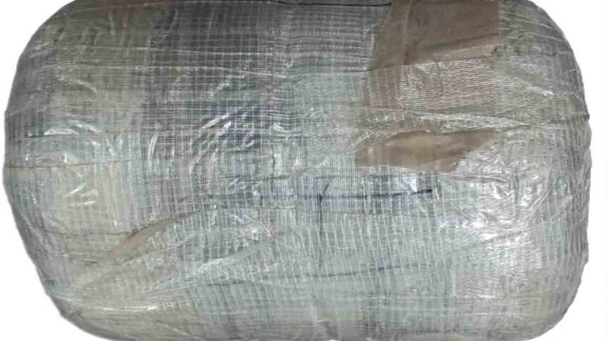 Punjab Police foils Pak-ISI-backed terror plot in Amritsar