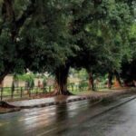 Punjab Weather Update