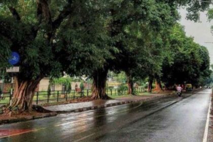 Punjab Weather Update