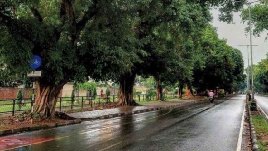 Punjab Weather Update