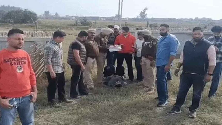 Encounter In Jalandhar