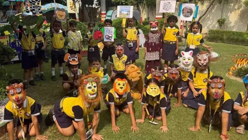 At the DIPS Institute, special emphasis is placed on engaging and interesting teaching