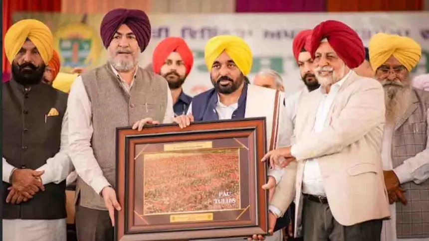 Bhagwant Mann government AI Revolution will secure Punjab’s future