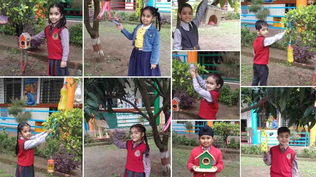 DIPS Organized Bird Feeding Activity