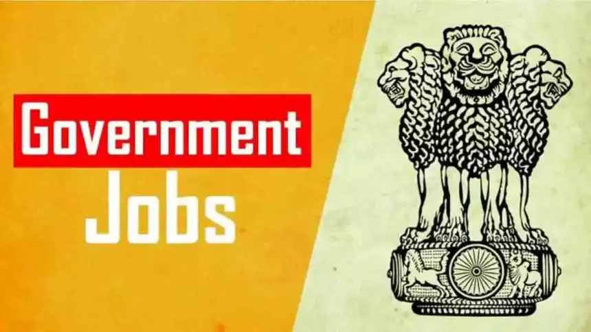 Government Job