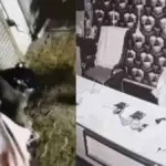 Ludhiana Trader Office Burglary