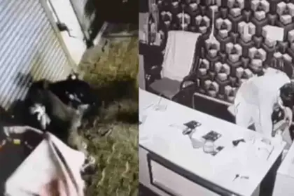 Ludhiana Trader Office Burglary