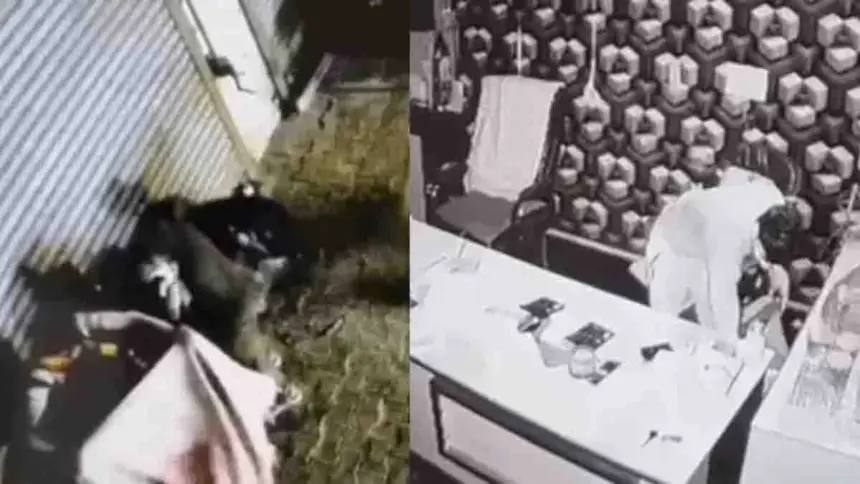 Ludhiana Trader Office Burglary