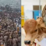 Mathura Farsa Wale Baba Murder