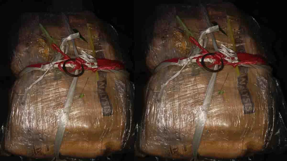 Punjab Police busted cross-border smuggling module