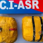 members of a drug trafficking module arrested