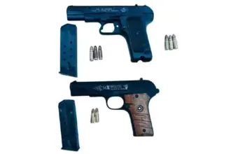 Associates of Foreign-Based Gangsters Arrested