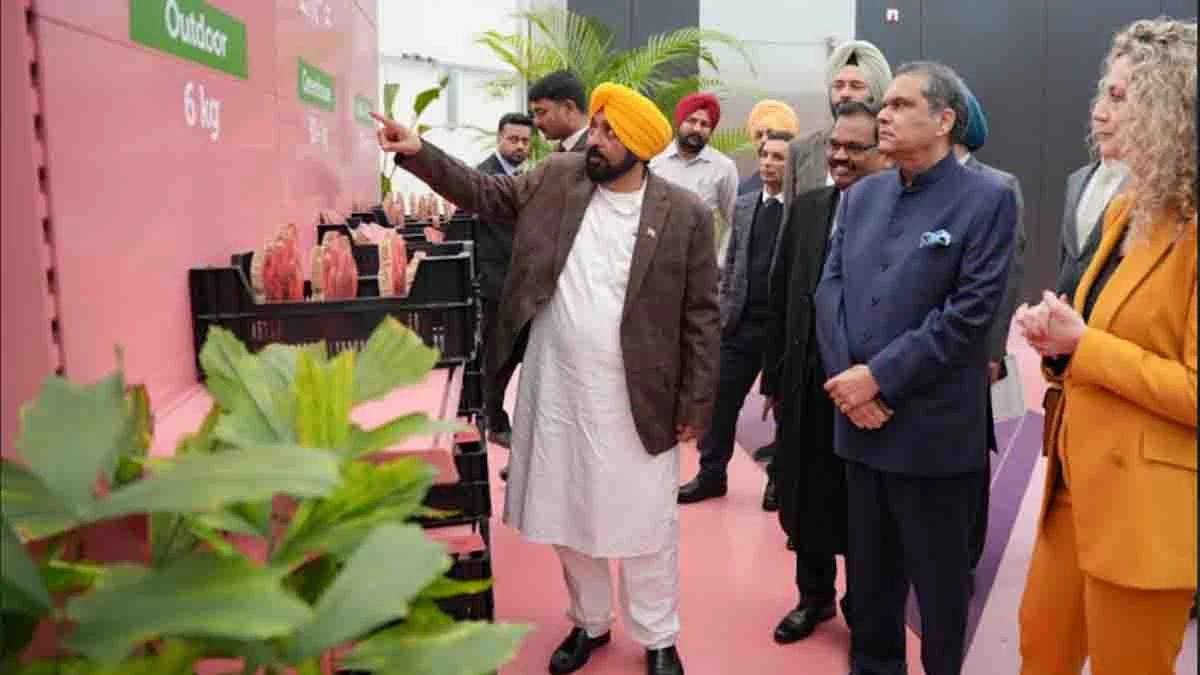 Punjab CM Mann Meets NXP Semiconductors from the Netherlands