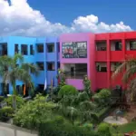 DIPS: Where education is not just academics, but a vibrant experience.