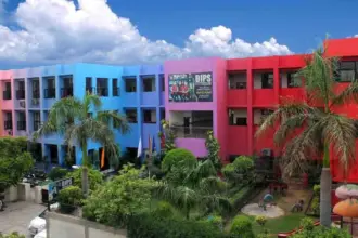 DIPS: Where education is not just academics, but a vibrant experience.