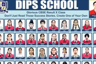 DIPS Schools Outstanding Performance