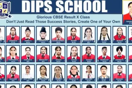 DIPS Schools Outstanding Performance