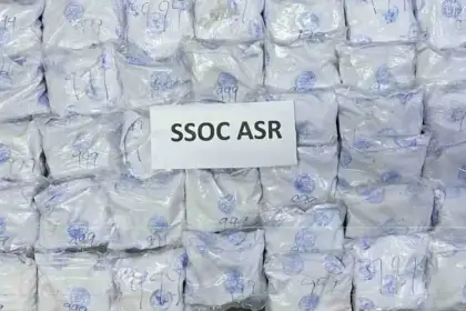 Individuals involved in cross-border drug smuggling module arrested