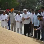 Punjab Ensures Simultaneous Procurement of Wheat