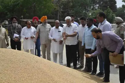 Punjab Ensures Simultaneous Procurement of Wheat