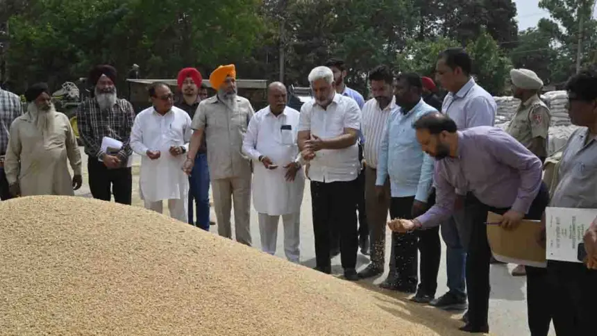 Punjab Ensures Simultaneous Procurement of Wheat