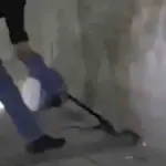 Snake Enters Washroom at DSP's Office in Punjab