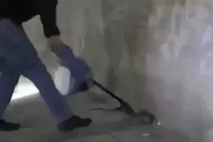 Snake Enters Washroom at DSP's Office in Punjab