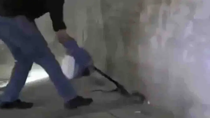 Snake Enters Washroom at DSP's Office in Punjab