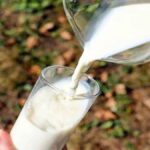 Milk Prices Hike