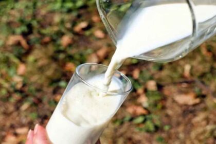 Milk Prices Hike