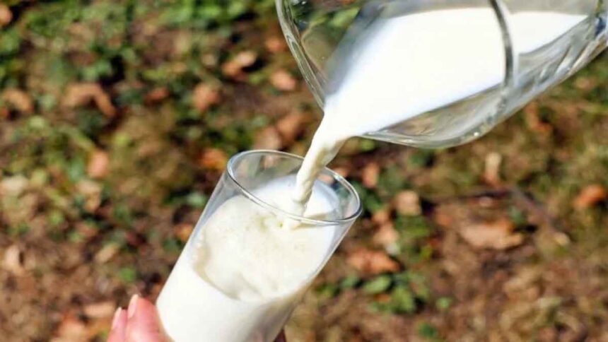 Milk Prices Hike