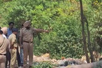 नगर निगम के कर्मचारी का जंगल में मिला शव, इलाके में फैली सनसनी